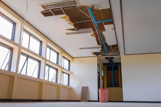 Best Professional water damage repair  in Aitkin, MN