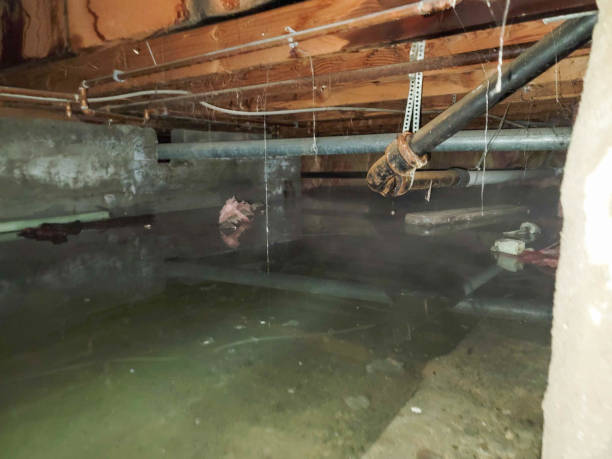 Best Residential water damage restoration  in Aitkin, MN