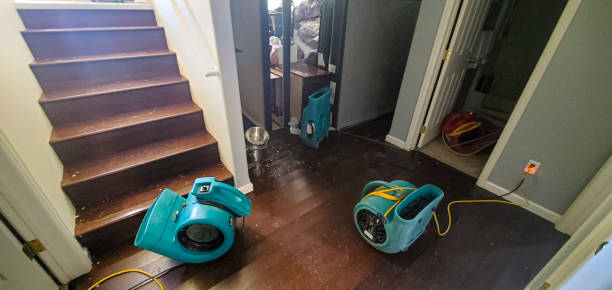 Best Flooded house restoration  in Aitkin, MN