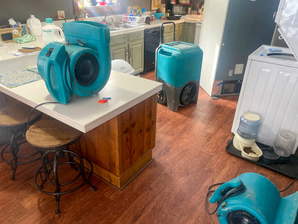 Best Emergency water damage restoration  in Aitkin, MN