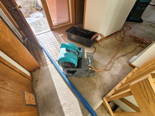 Best Ceiling water damage repair  in Aitkin, MN