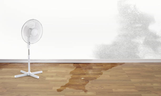 Best Flood restoration services  in Aitkin, MN
