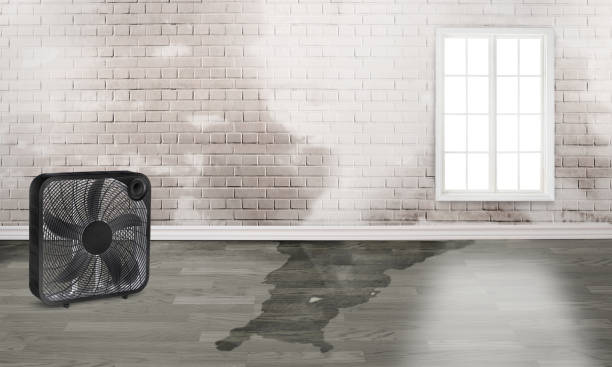 Best Water damage restoration experts  in Aitkin, MN