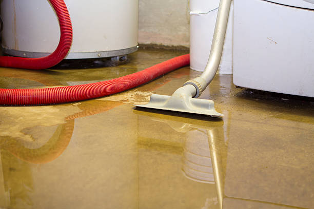 Best 24/7 water damage repair  in Aitkin, MN