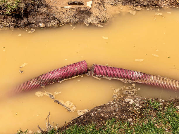 Best Water damage cleanup near me  in Aitkin, MN