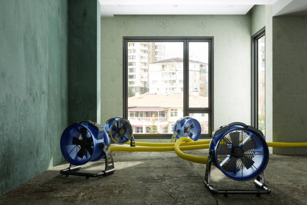 Best Water damage restoration near me  in Aitkin, MN